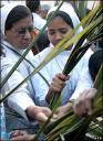 These Roman Catholic nuns are choosing palm fronds in Hyderabad, India.