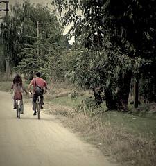 lovers-lane-together-college-bikes-hold-hands-valentine