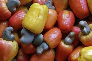 beto_frota-cashews-Colors-nose-cool-flickr-photos-images