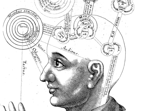 Books_The Wisest One in the Room