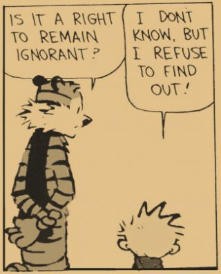 Calvin and Hobbes_Dunning_Kruger_Effect
