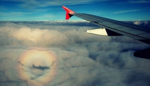 a-shadow-on-the-cloud-is-the-shadow-of-this-very-same-plane-on-the-picture-taken-on-a-flight-from-4